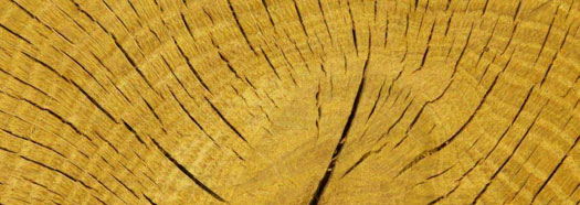 Lechesne - grande variété de bois brut